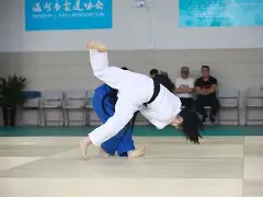 柔道夜战：蓬莱银狐队强势反弹荆楚猎隼队，主帅临场妙招客场静默反击的简单介绍