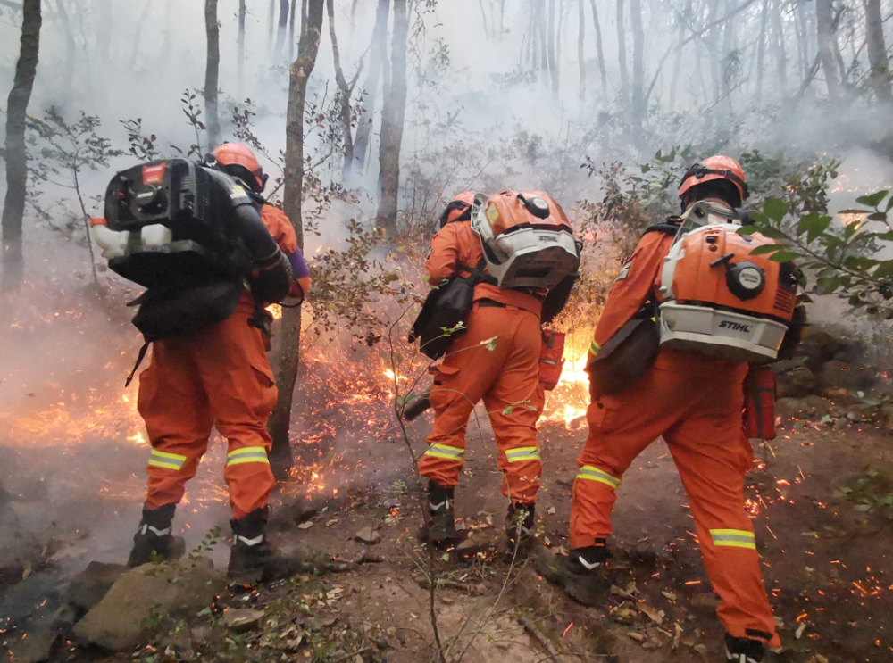爱游戏快捷 -科林蒂安内部会议纪要流出：冲刺阶段火线驰援，德甲使命明确，赛程密集仍需轮换的简单介绍
